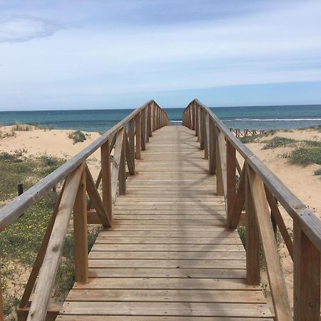 Mimosa Apartment Guardamar del Segura Dış mekan fotoğraf