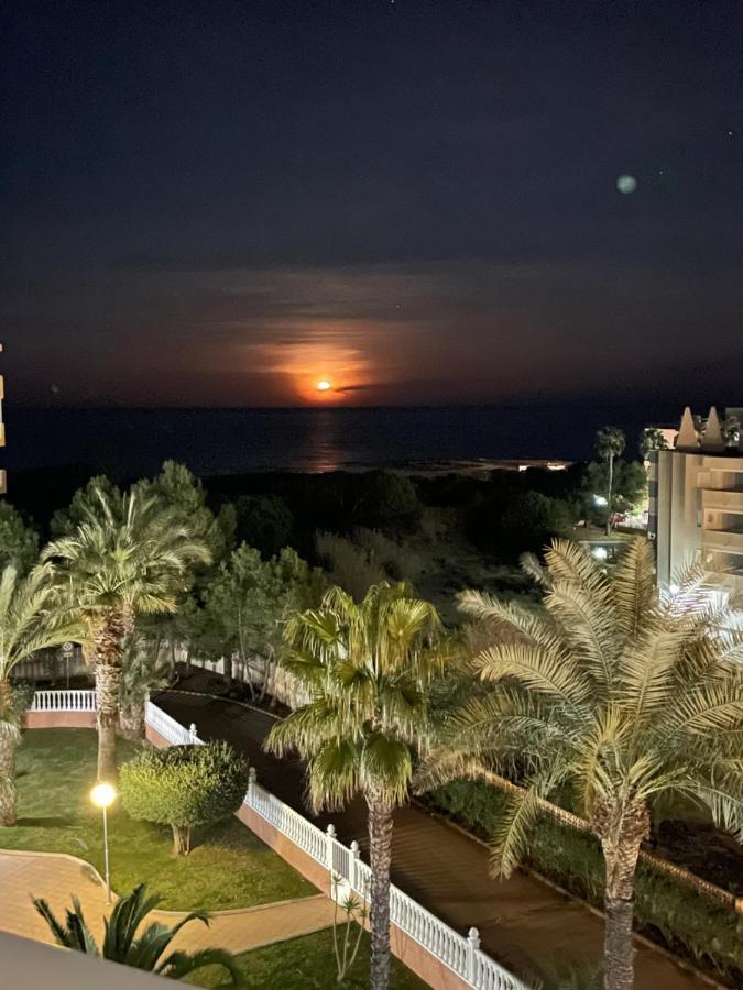 Mimosa Apartment Guardamar del Segura Dış mekan fotoğraf