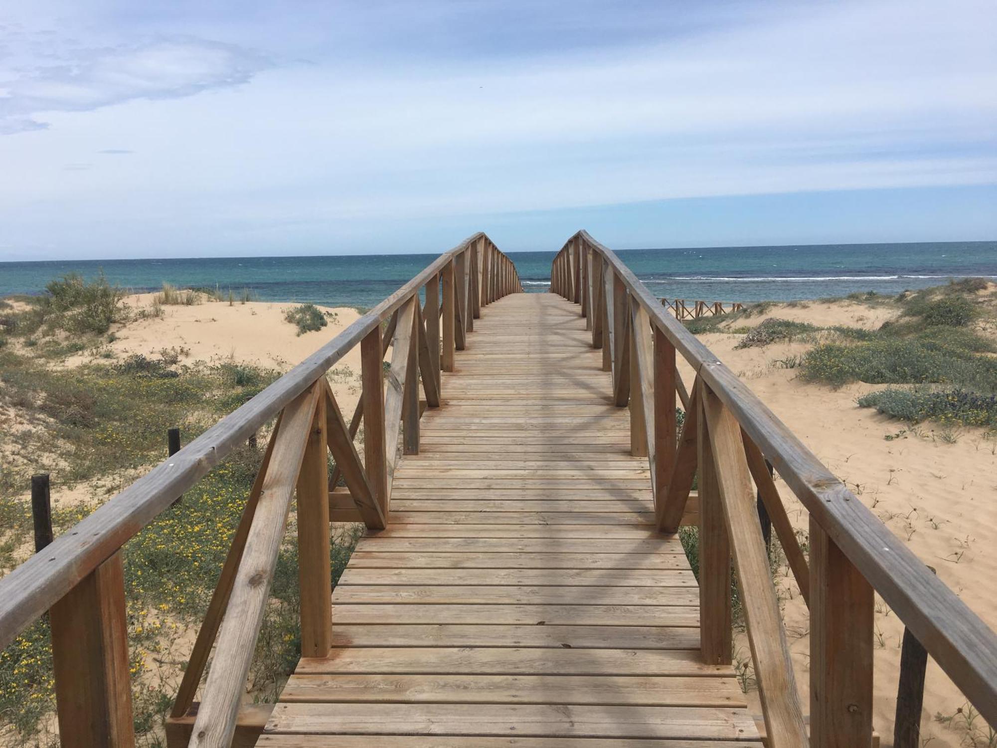 Mimosa Apartment Guardamar del Segura Dış mekan fotoğraf