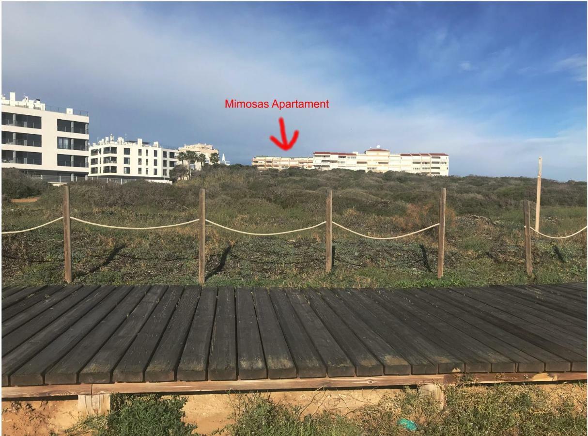 Mimosa Apartment Guardamar del Segura Dış mekan fotoğraf