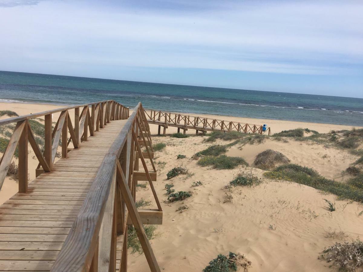 Mimosa Apartment Guardamar del Segura Dış mekan fotoğraf