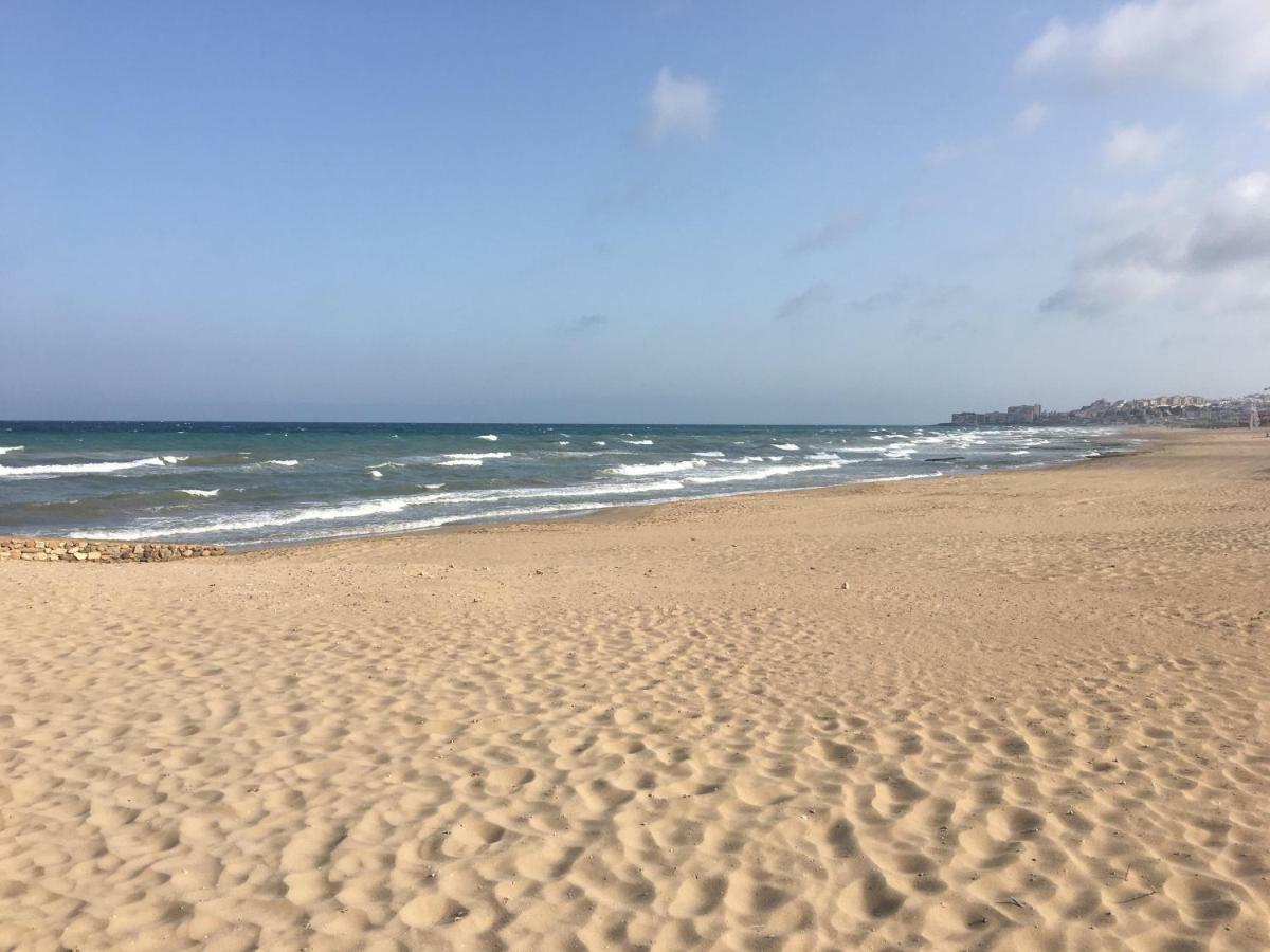 Mimosa Apartment Guardamar del Segura Dış mekan fotoğraf