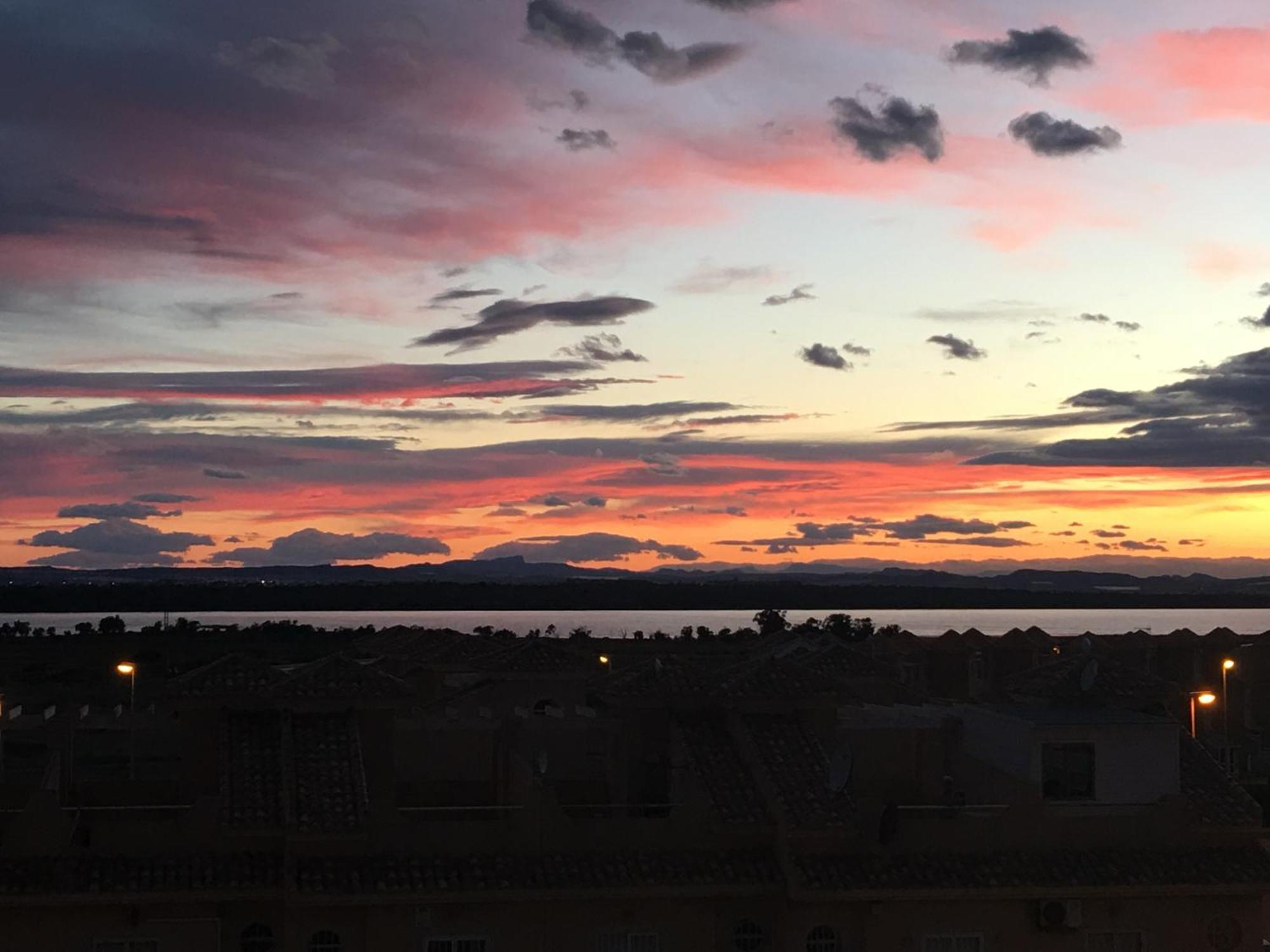 Mimosa Apartment Guardamar del Segura Dış mekan fotoğraf